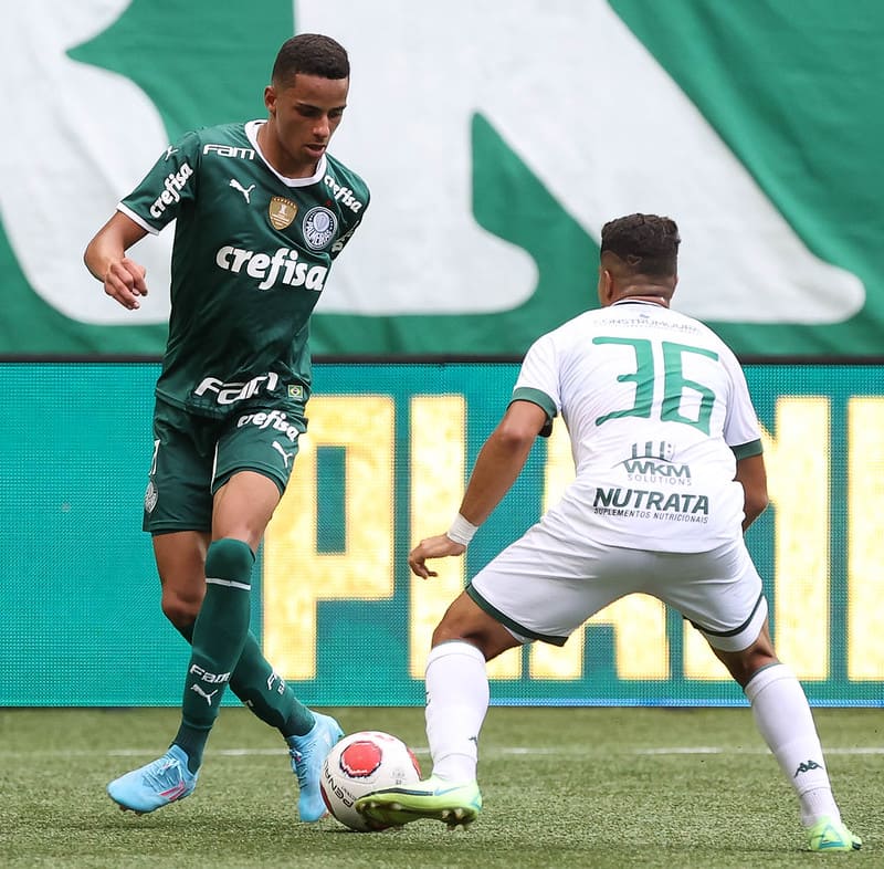 Como Assistir Ao Vivo Guarani X Palmeiras Pelo Paulist O Portal