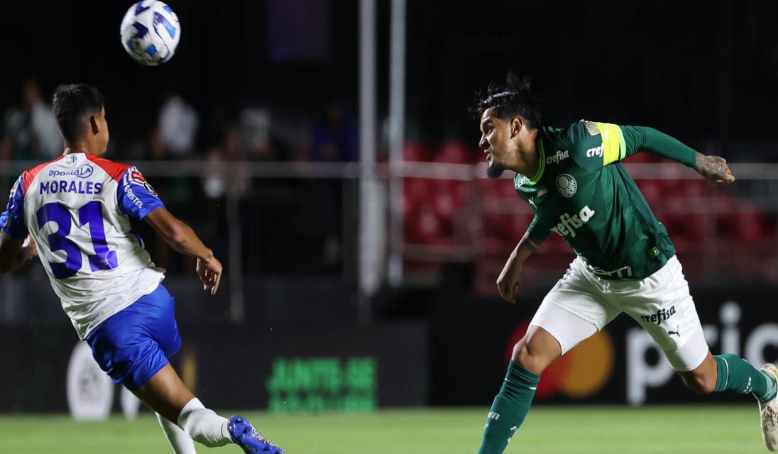 Tudo Que Est Em Jogo Em Palmeiras X Cerro Porte O Portal Do Palmeirense