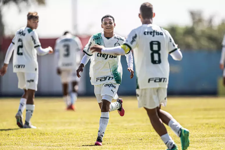 Palmeiras vence e garante classificação Portal do Palmeirense