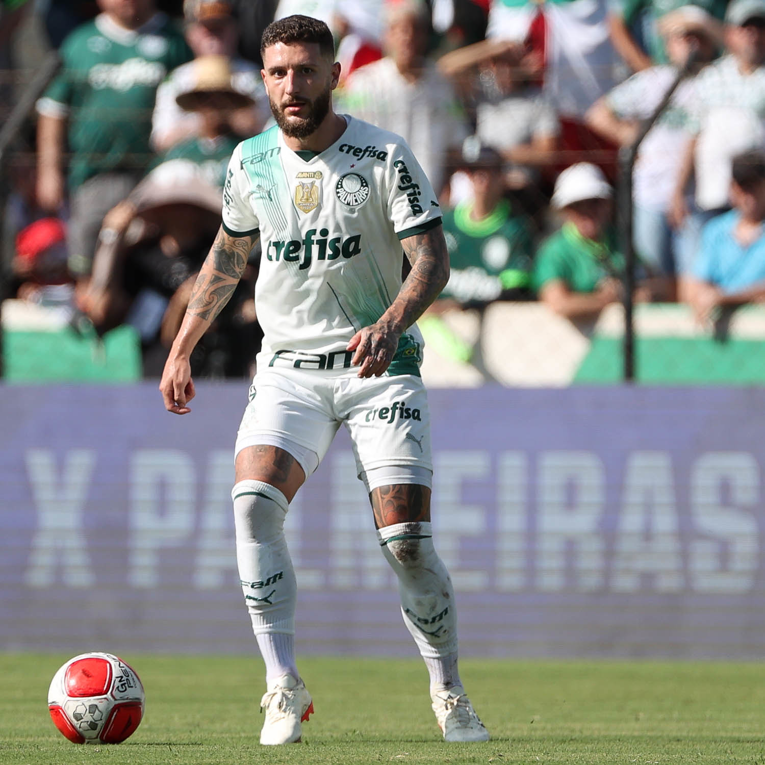 Zé Rafael atinge nova marca impactante a camisa do Palmeiras