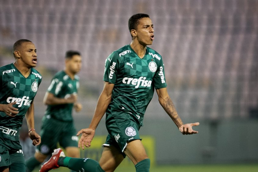 PALMEIRAS DNV COPINHA