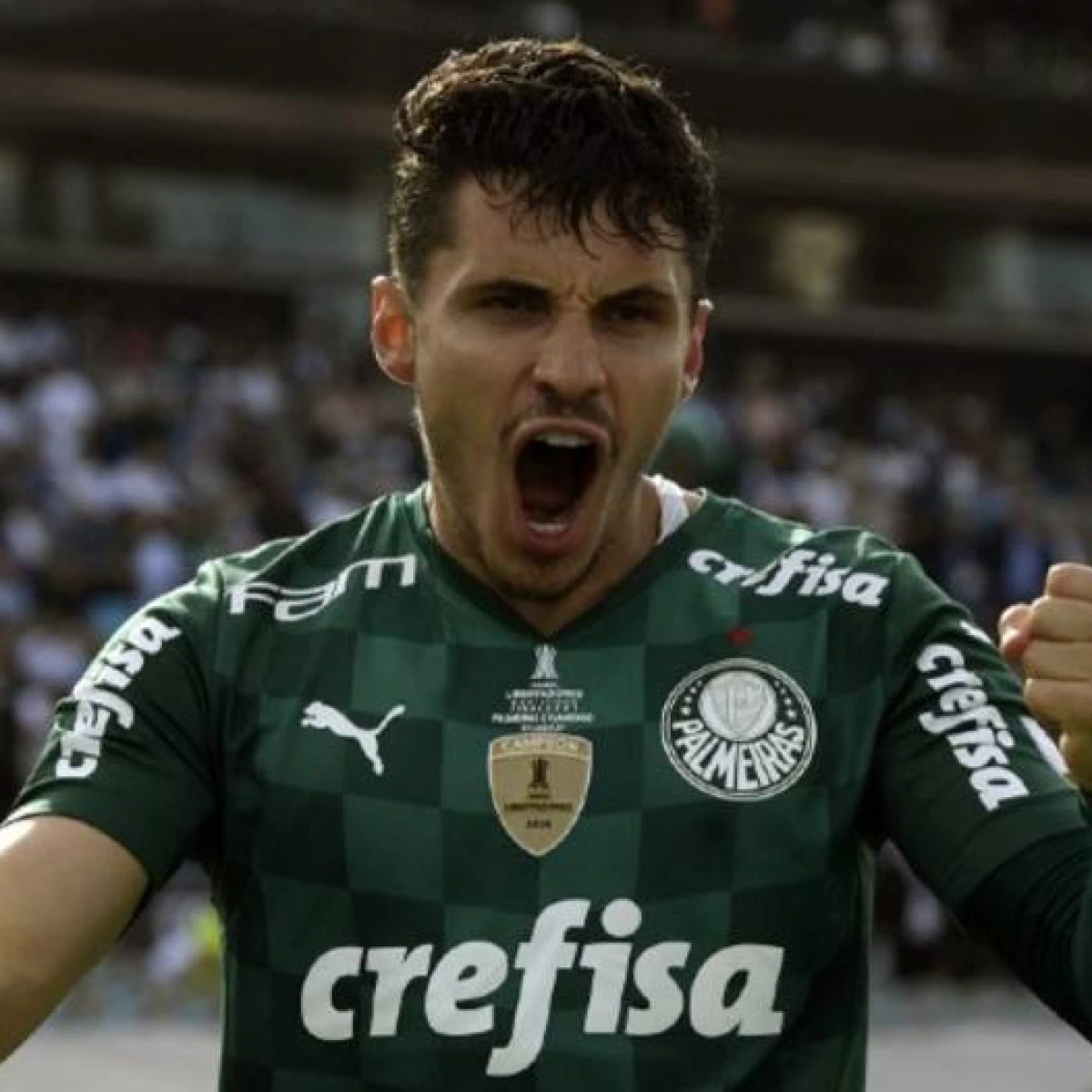 raphael veiga