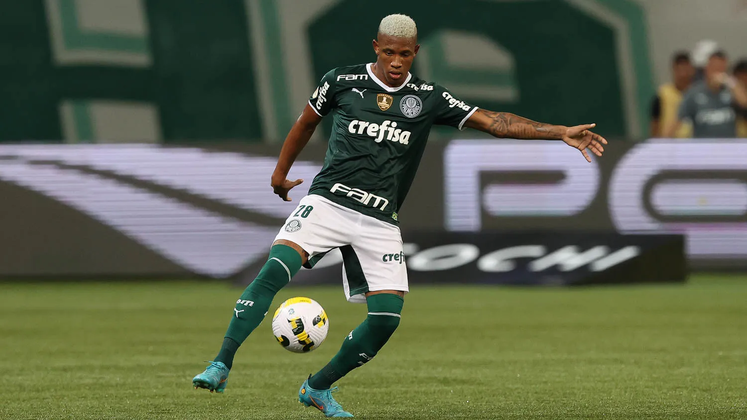Danilo Palmeiras
