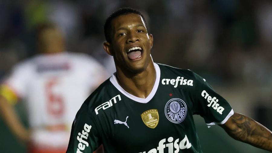 Danilo Palmeiras