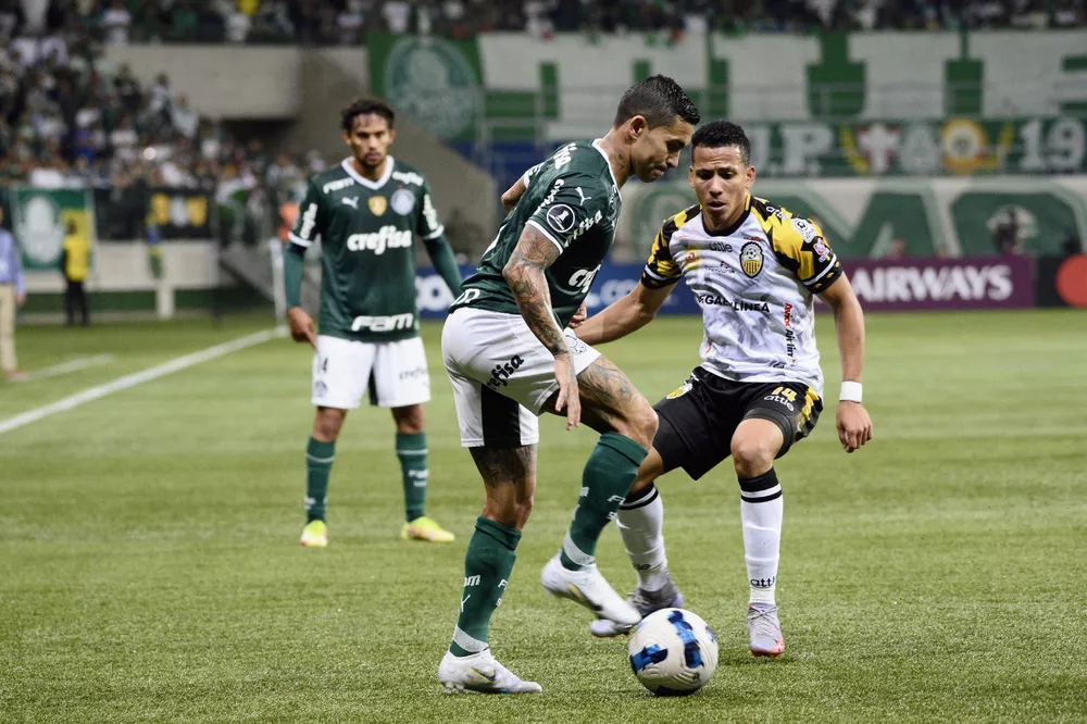 Palmeiras