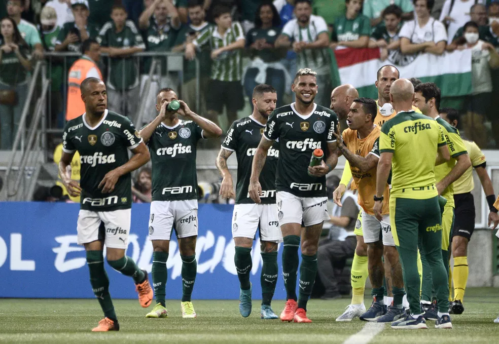 Palmeiras Libertadores