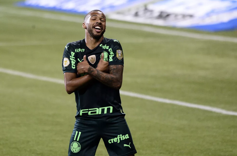 Wesley palmeiras
