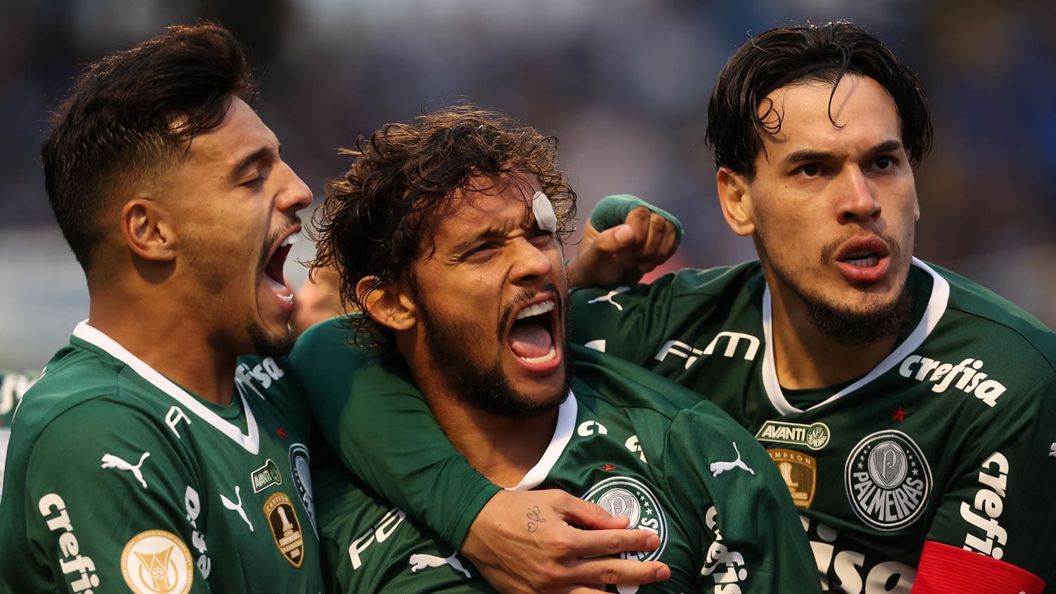 Verdão tem sequência invicta de 13 partidas no Brasileirão 2022.