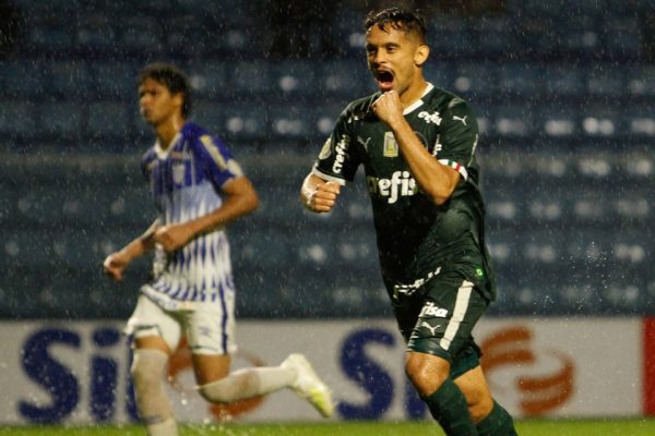 Palmeiras x Avaí: times duelam pela 14ª rodada do Brasileirão 2022.