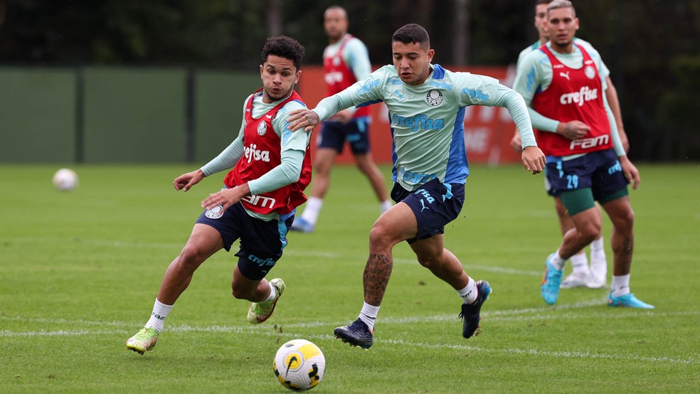 Verdão faz a limpa no elenco e repassa dois jogadores para time de Portugal 1 Verdão faz a limpa no elenco e repassa dois jogadores para time de Portugal