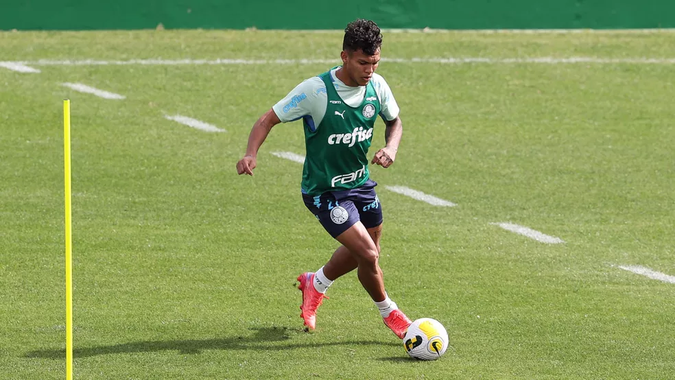 Gabriel Veron Palmeiras