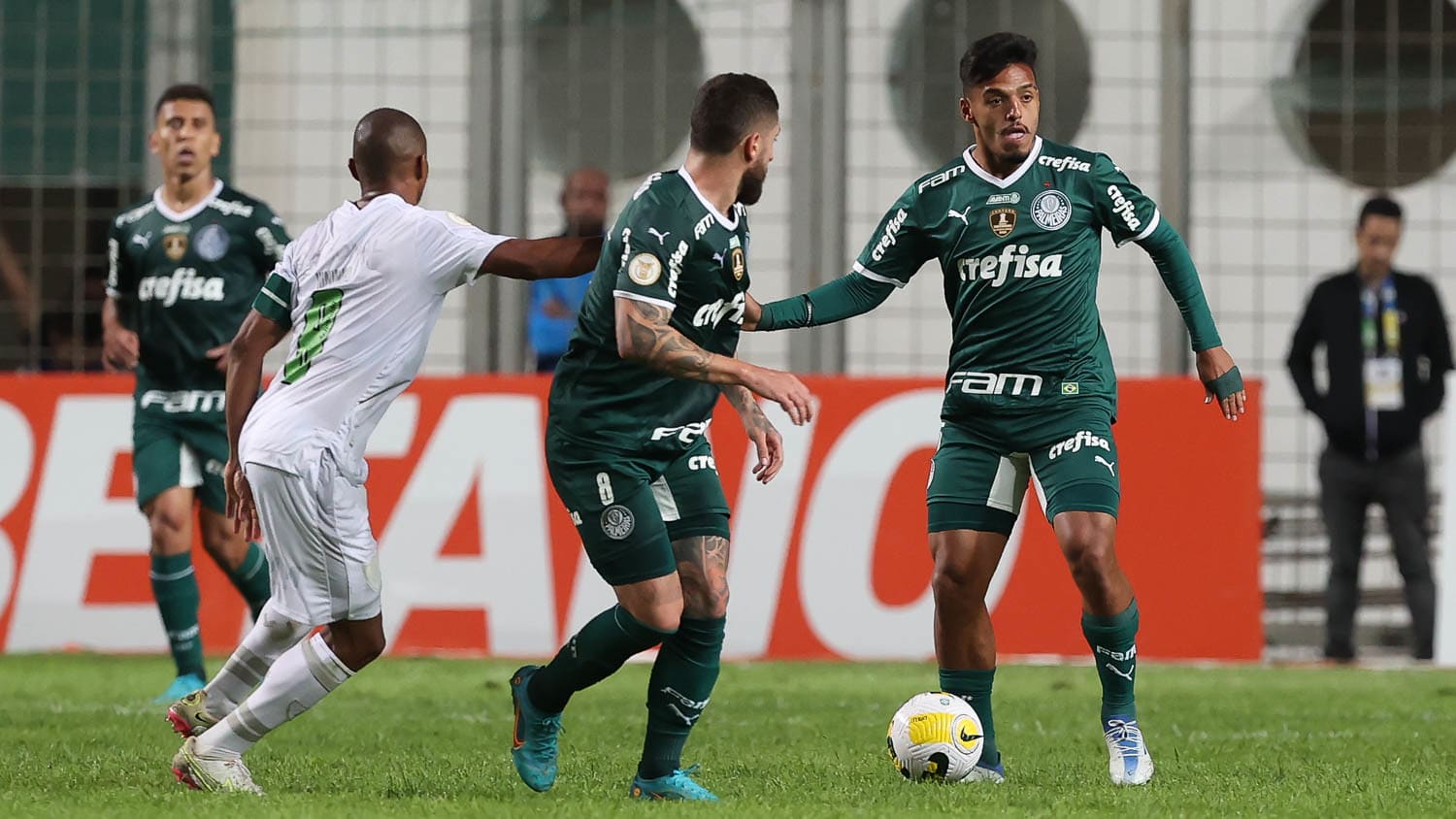 Jornalista prevê o futuro do Palmeiras no Brasileirão 2022 1 Jornalista prevê o futuro do Palmeiras no Brasileirão 2022