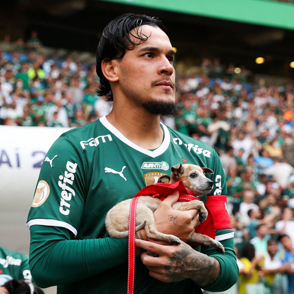 Gustavo Gómez Palmeiras
