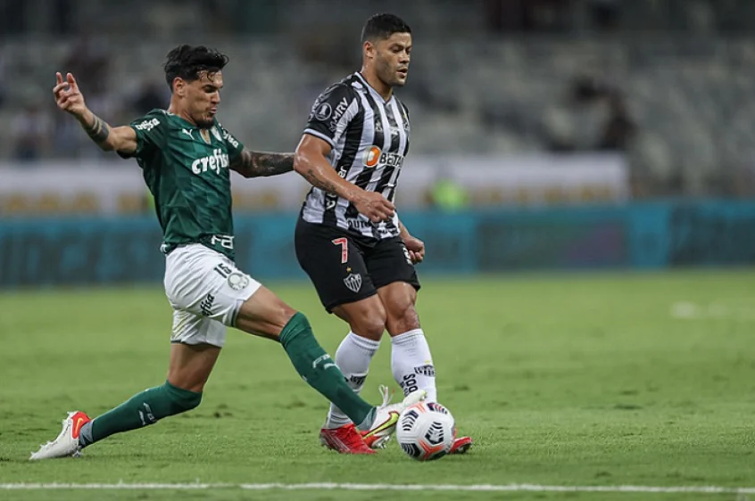 Verdão e Galo