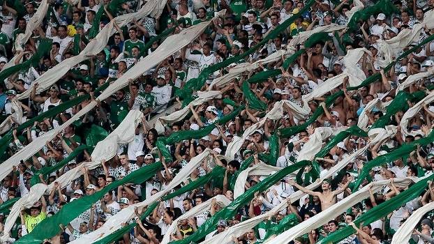 torcida do Verdão