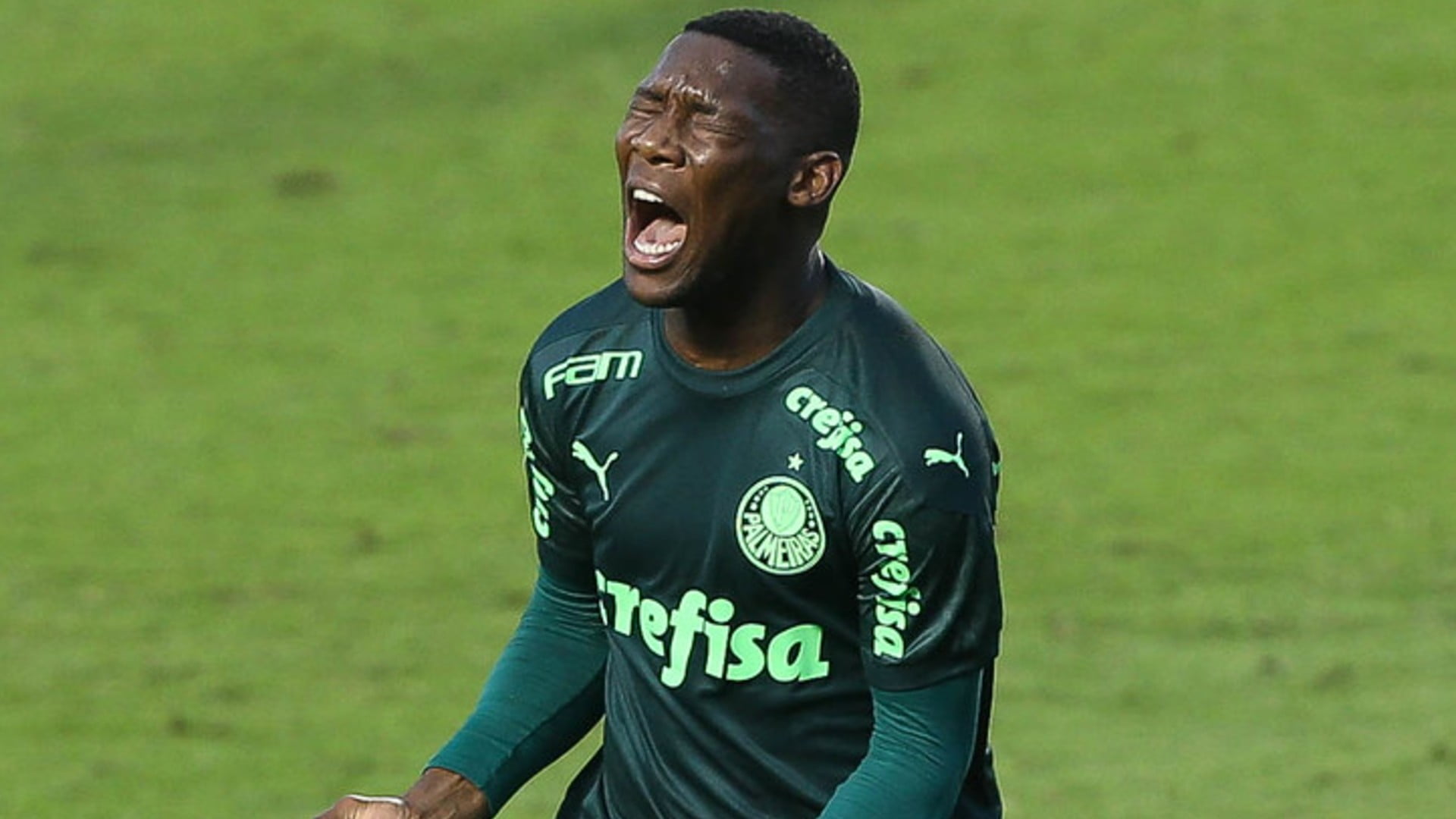 ex-Verdão