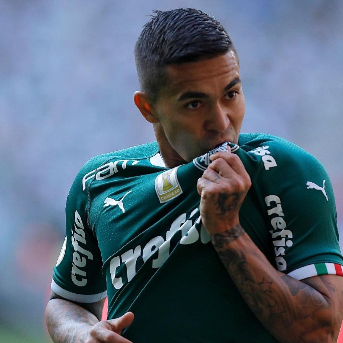 Dudu: curiosidades do ídolo do Palmeiras.