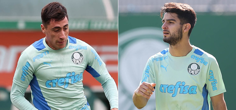 Palmeiras não deve buscar jogadores para o restante da temporada.