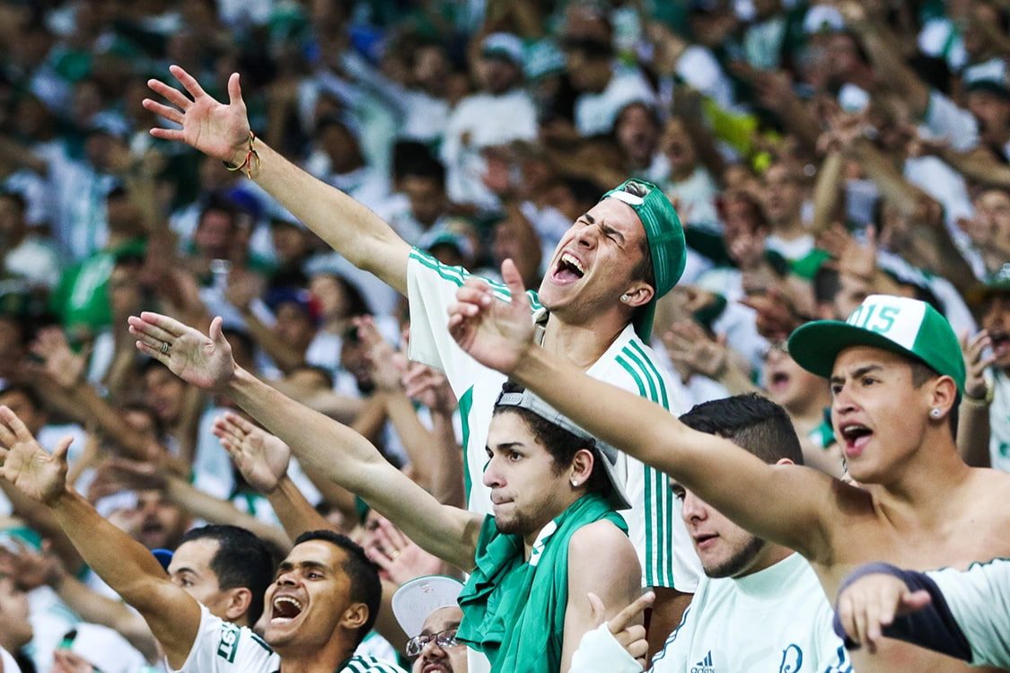 Torcida do Palmeiras