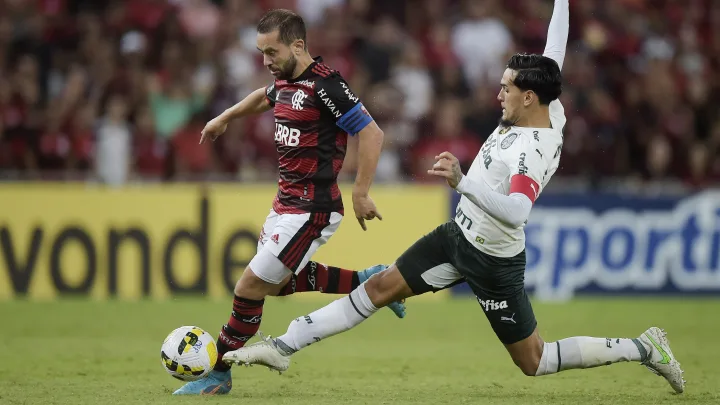 Flamengo e Palmeiras