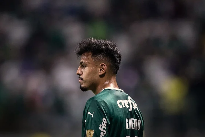 Menino Palmeiras
