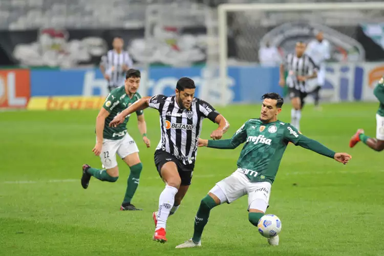 Palmeiras e Galo