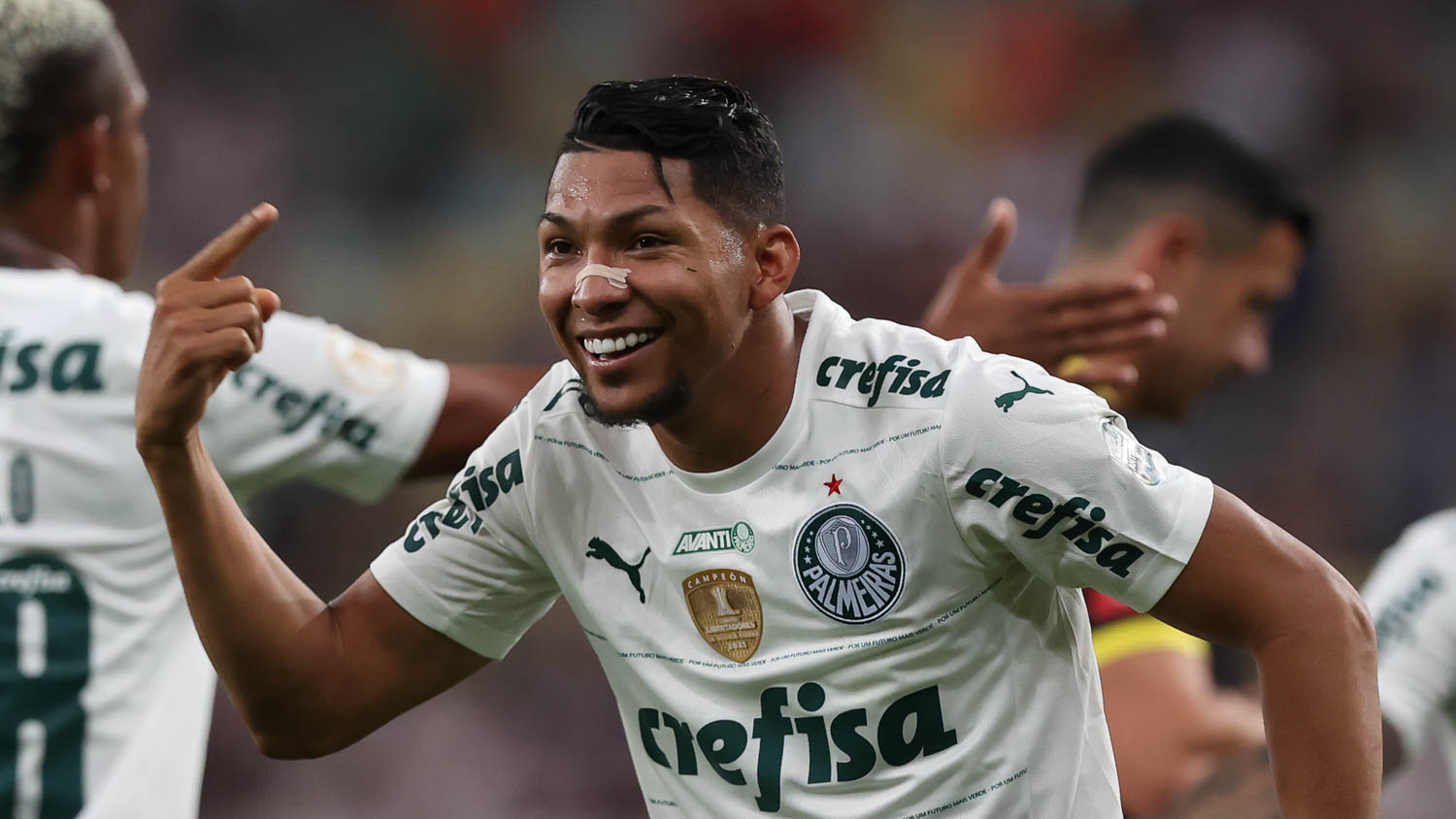 Rony Palmeiras