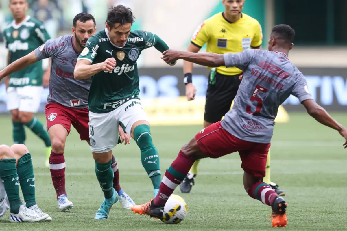 Palmeiras e Fluminense