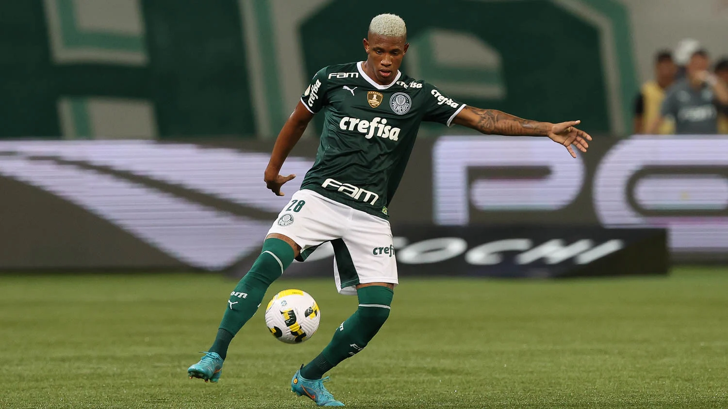 Danilo Palmeiras