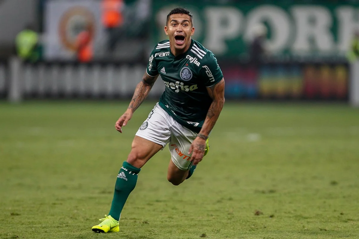 Dudu Palmeiras