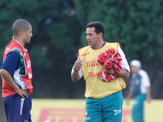 Luxa Palmeiras
