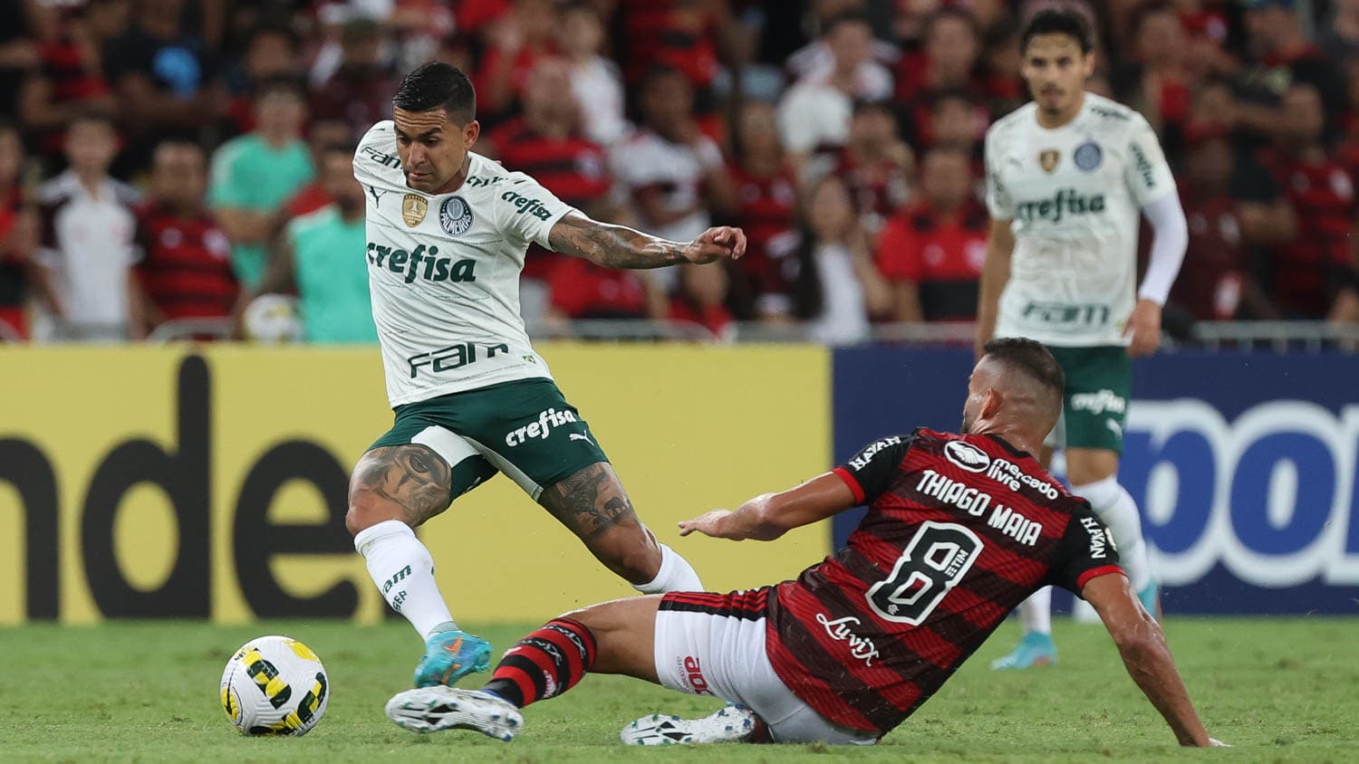 Palmeiras e Flamengo