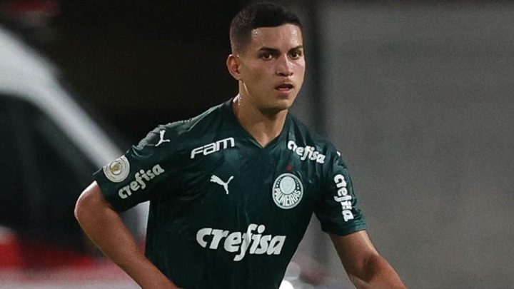 Palmeiras pode se dar muito mal por ter demitido Renan