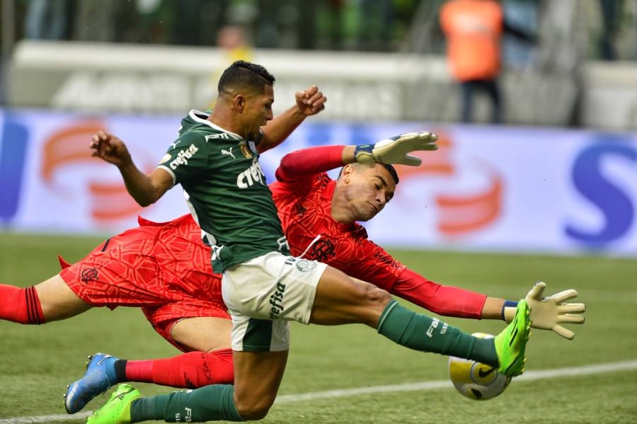 Palmeiras e Flamengo