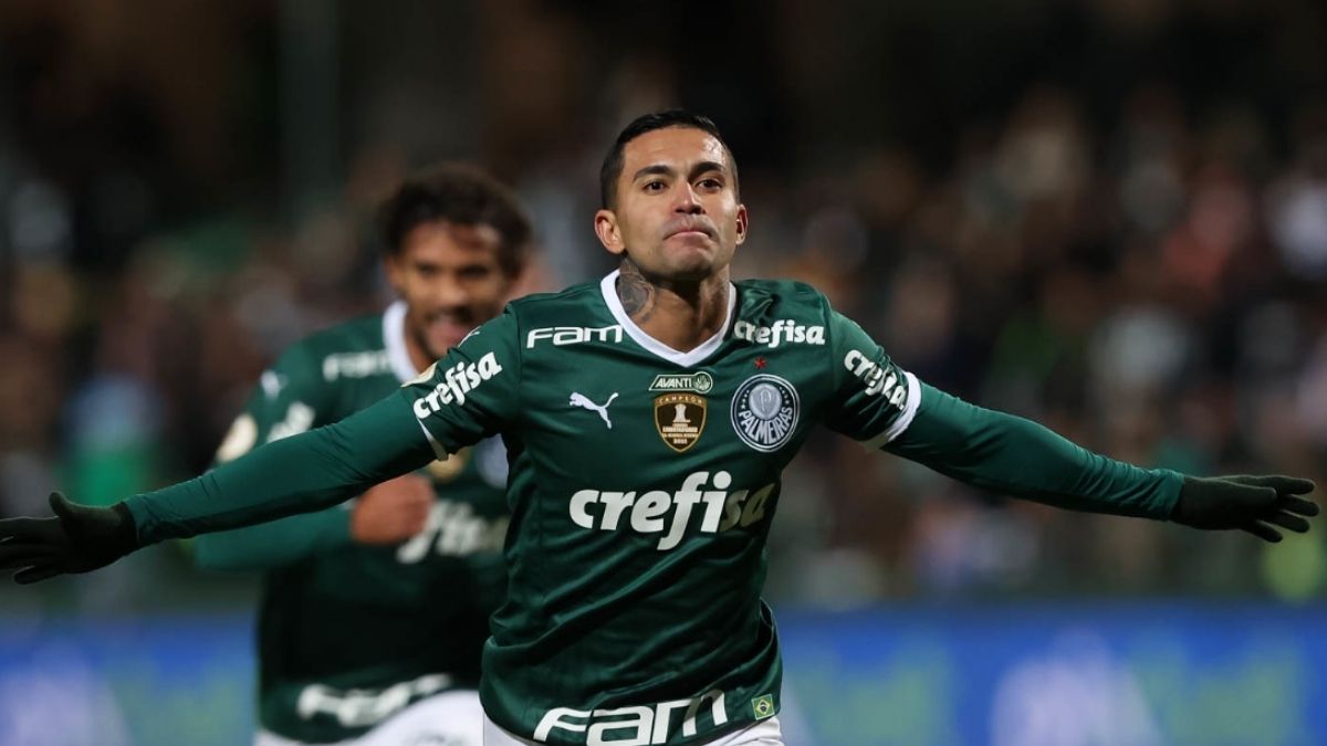 Dudu Palmeiras