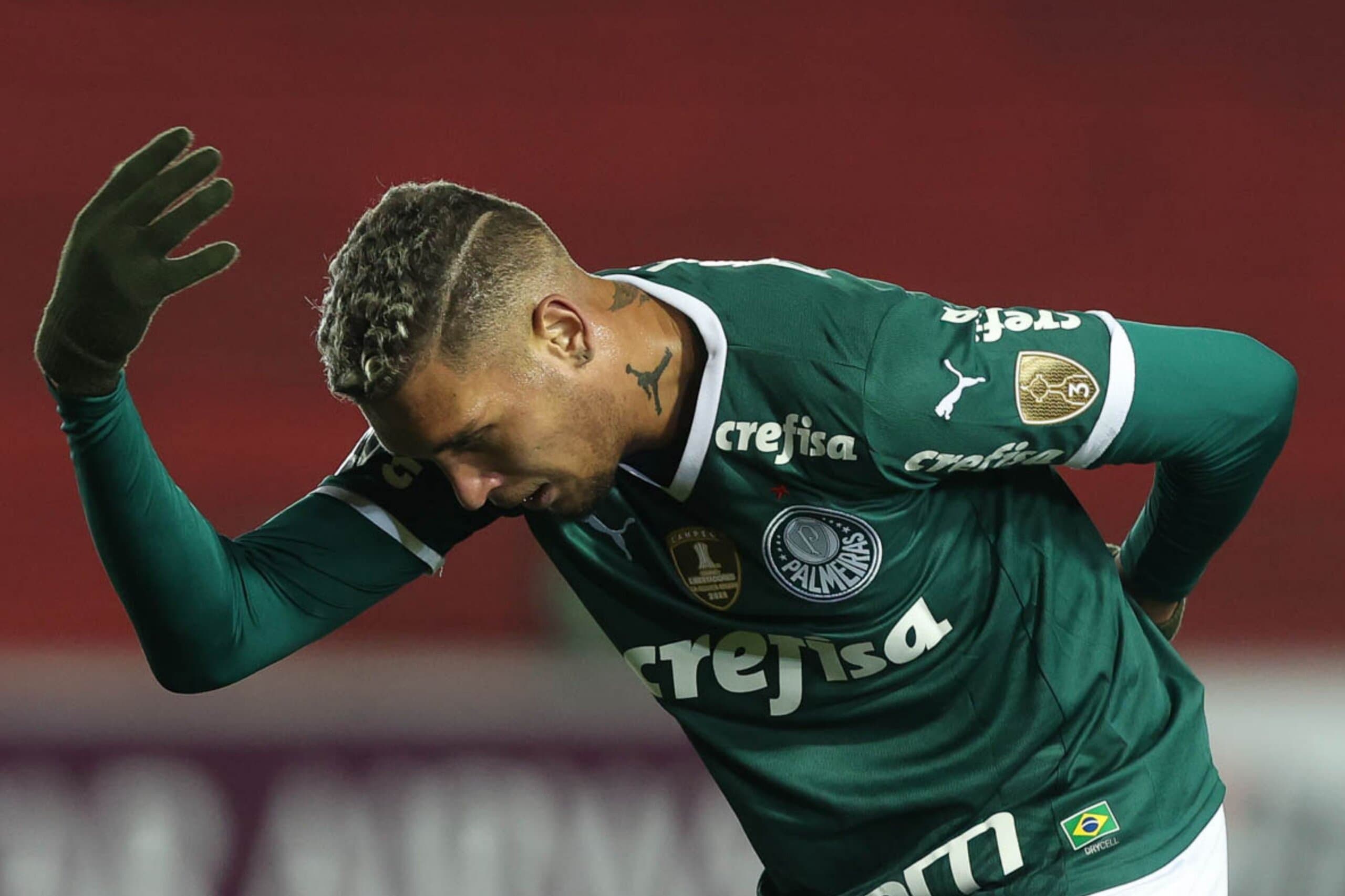 Rafael Navarro Palmeiras