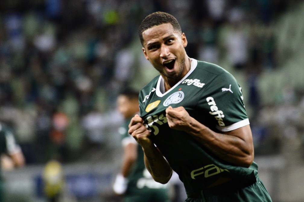 Palmeiras encara o Santos pelo Brasileirão.