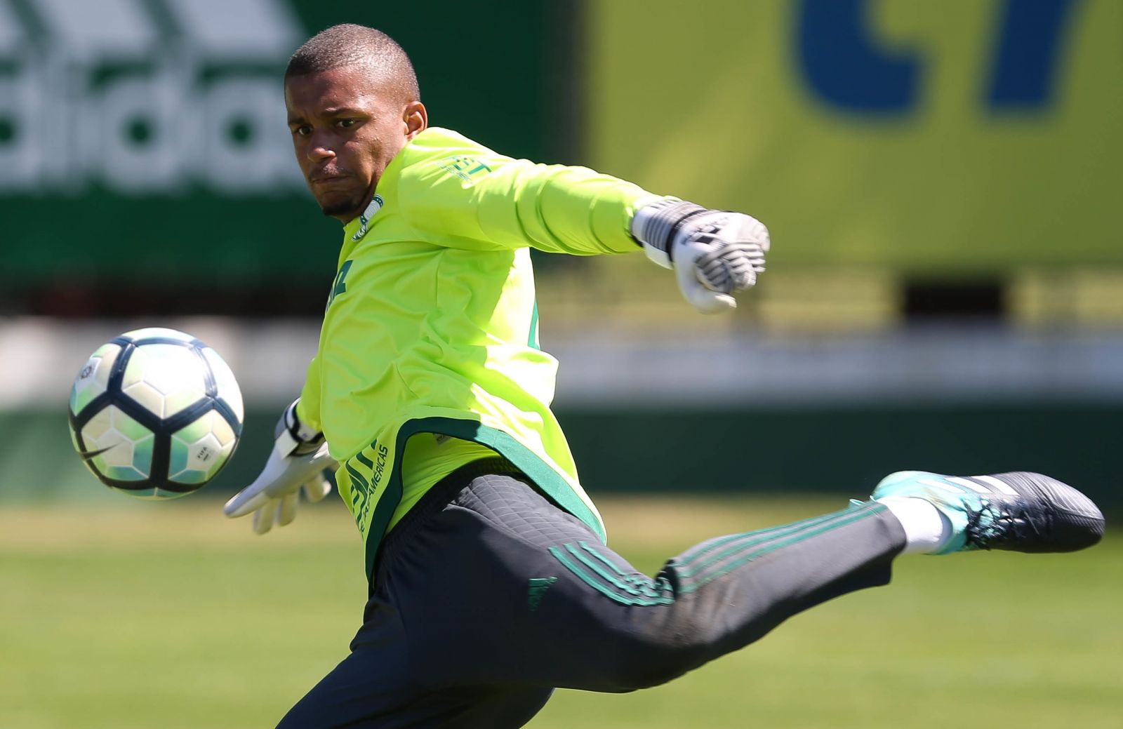 (Foto: César Greco/Ag. Palmeiras)