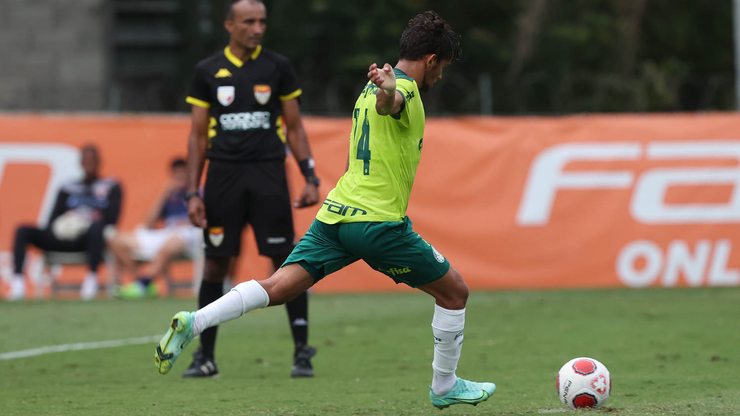 (Foto: Cesar Greco / Palmeiras)