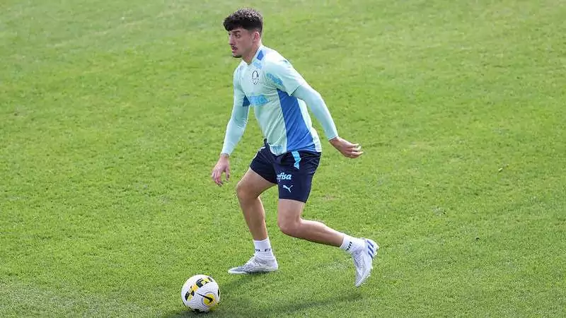 Apenas 3 jogadores marcaram mais gols que Piquerez no Palmeiras em 2023