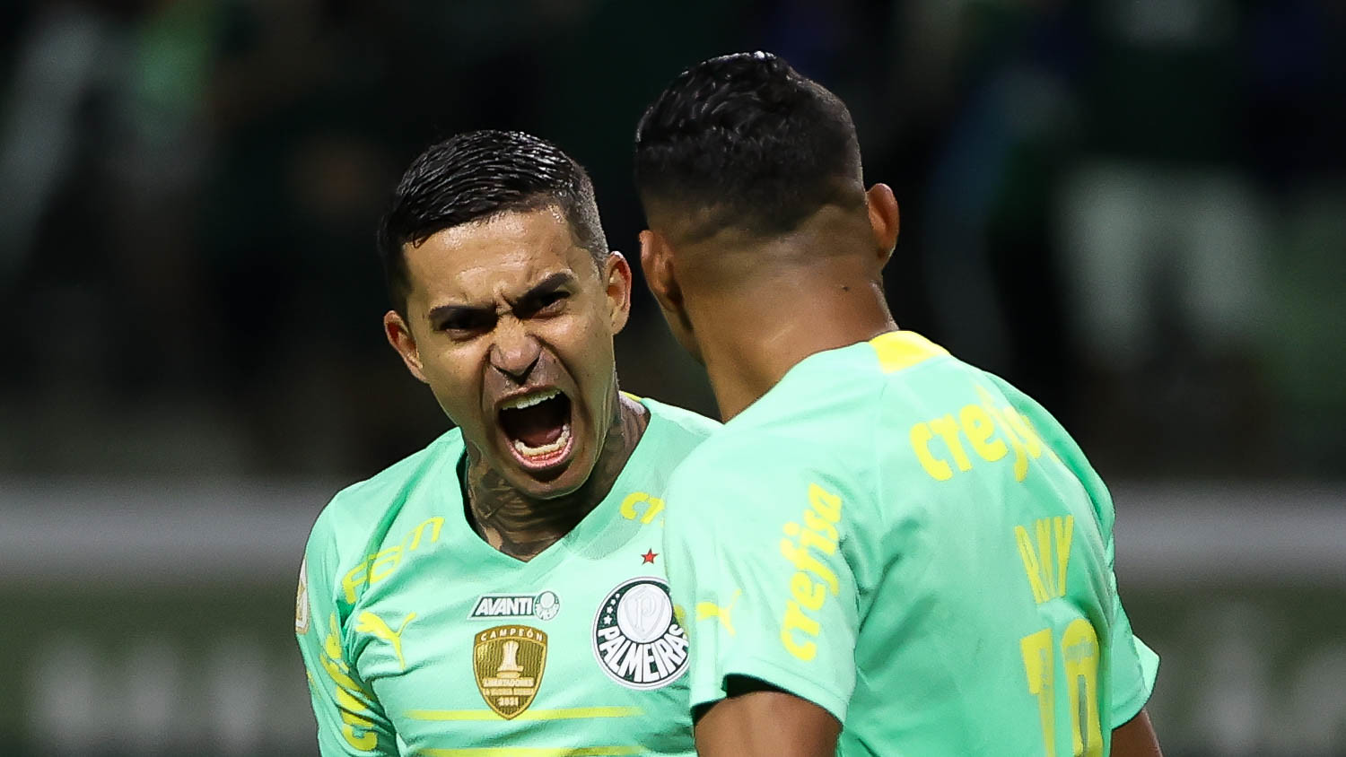 Dudu dá fim a problema que lhe estava dando dor de cabeça 6 Dudu dá fim a problema que lhe estava dando dor de cabeça