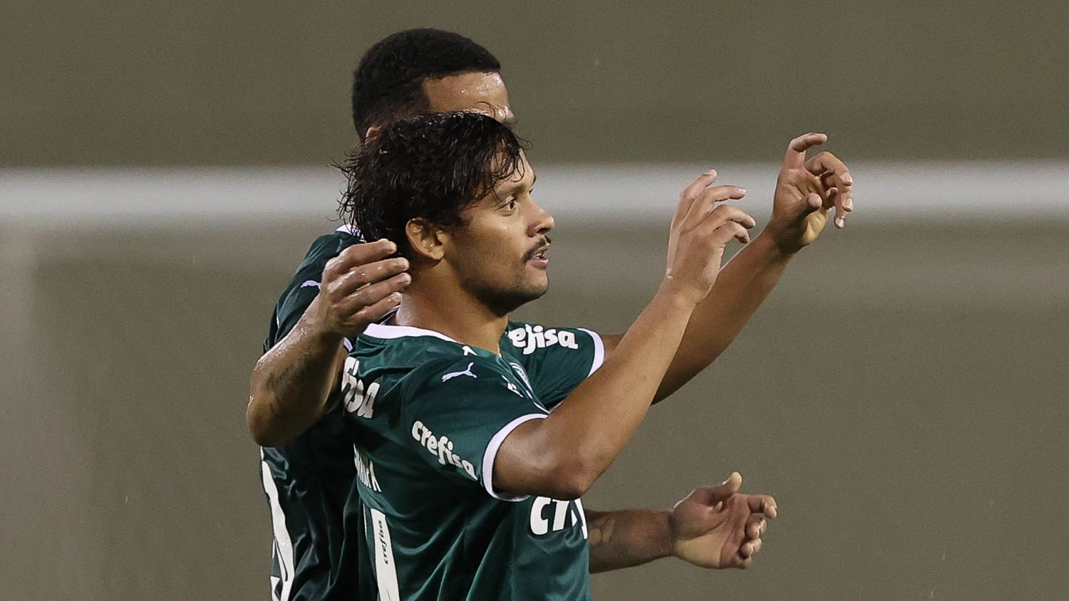 Palmeiras prepara reformulação total e nomes são especulados