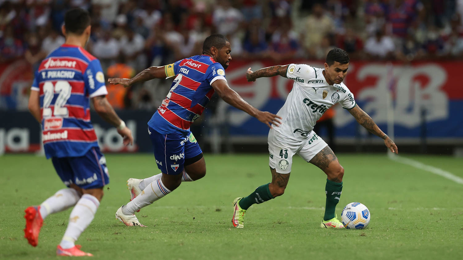 Como assistir ao vivo Palmeiras x Fortaleza pelo Brasileirão 2022