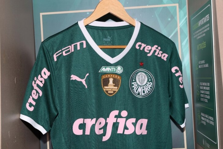 (Foto: Fábio Menotti / Palmeiras)