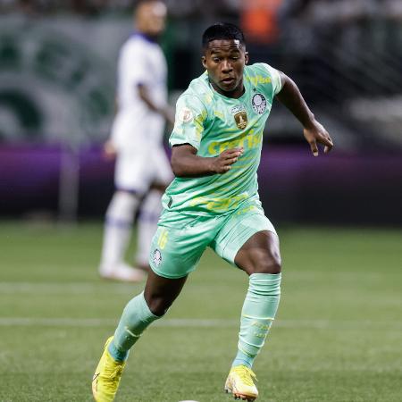 endrick do palmeiras em jogo contra o avai pelo brasileirao