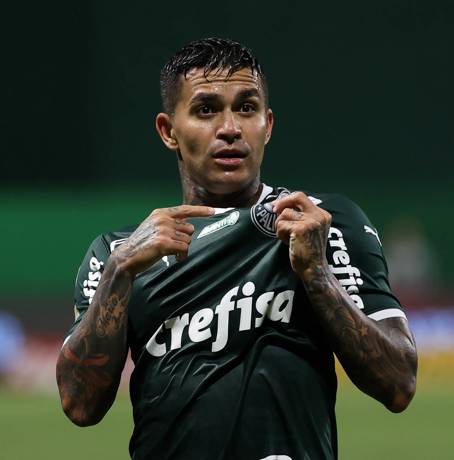 Palmeiras assina com vários e deixa cereja do bolo para o final 3 Palmeiras assina com vários e deixa cereja do bolo para o final