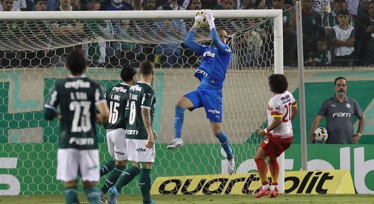 Jogador Invicto Em 2022 Encaminha Renovação Com O Palmeiras - Portal Do ...