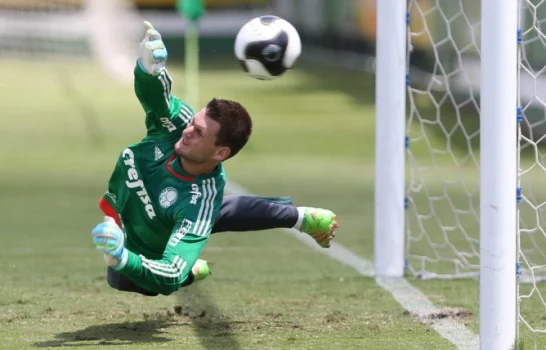 Ex-goleiro do Palmeiras surpreende e desce um degrau na carreira 1 Ex-goleiro do Palmeiras surpreende e desce um degrau na carreira
