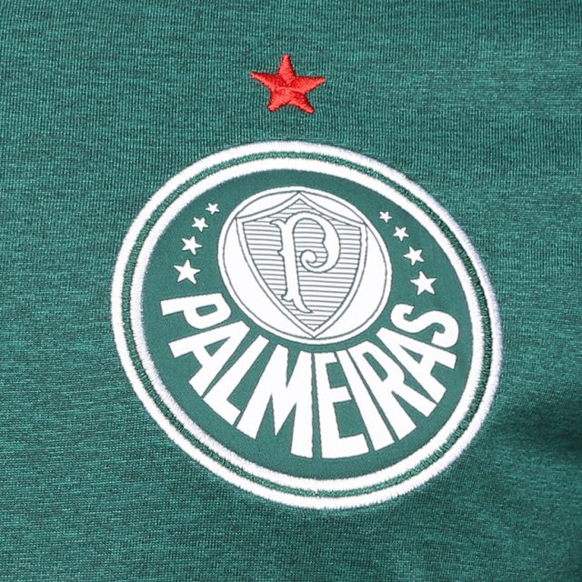 Se consagrou no Palmeiras e está livre para assinar de graça com qualquer time