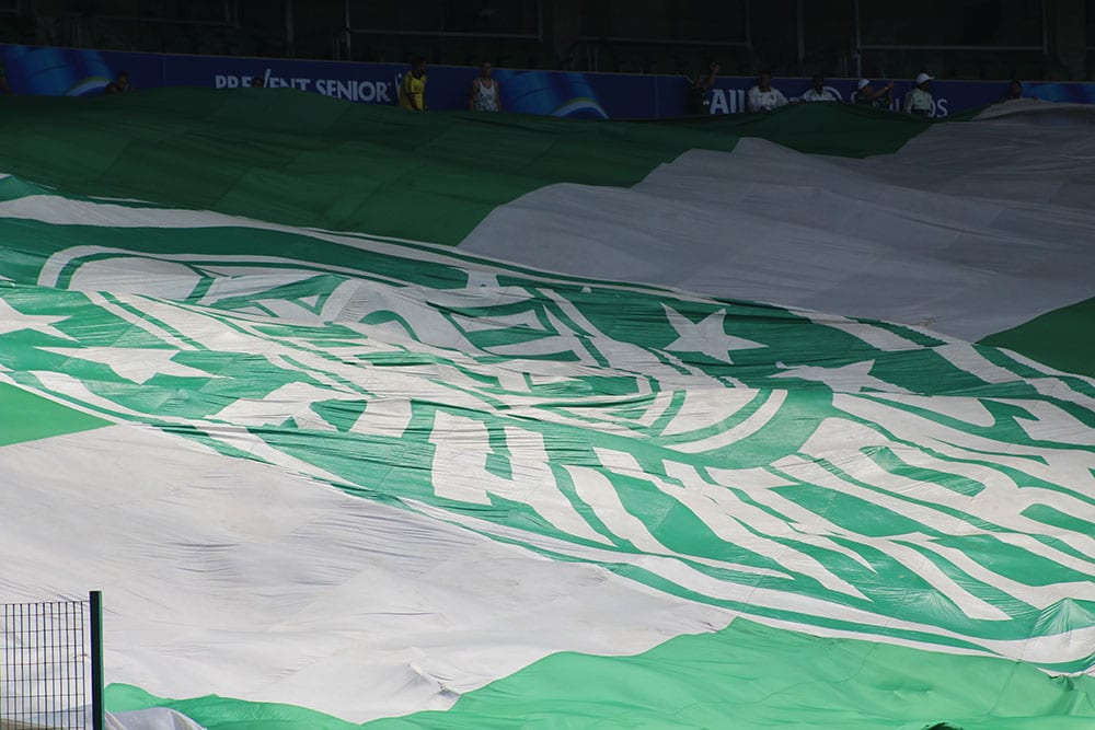 Heróis do Palmeiras vai defender time sem divisão em 2023 10 Heróis do Palmeiras vai defender time sem divisão em 2023